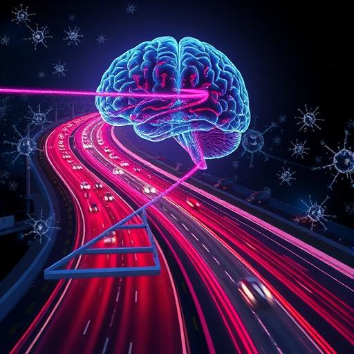 Visual representation of the gut-brain axis.